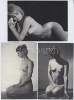 cca 1975 Nyuszika a kalap alatt, szolidan erotikus felvételek, 12 db vintage negatív, + 6 db vintage...