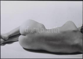 cca 1985 Betti tánca a szélben, szolidan erotikus felvételek, 5 db vintage negatív, + 5 db vintage f...