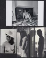 cca 1989 Régi modellek, régi képek, szolidan erotikus felvételek, 8 db vintage negatív, + 10 db vint...