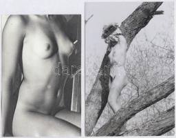 cca 1988 Portörlés közben, szolidan erotikus felvételek, 4 db vintage negatív, + 6 db vintage fotó é...