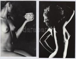 cca 1992 Cicás beállítások, szolidan erotikus felvételek, 3 db vintage negatív, + 5 db vintage fotó ...