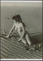 cca 1987 Kis kaland a korsóval, szolidan erotikus felvételek, 7 db vintage negatív, + 5 db vintage fotó és/vagy mai nagyítás régi negatívokról, a pozitív és negatív képek között nincs összefüggés, 6x6 cm és 25x18 cm között