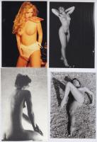 Láncreakció, szolidan erotikus felvételek az 1980-as évekből, 5 db vintage negatív, + 8 db vintage f...