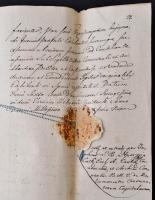 1809 A kolozsmonostori konvent oklevele a Bánházi-, Ajtai és más családok ügyében, latin és magyar n...