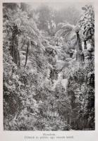 Világjárók sorozat 14 kötete. Bp., é.n., Franklin-Társulat. Kiadói aranyozott egészvászon-kötés, vál...