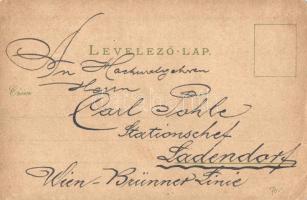 1900 Budapest XIII. Margitsziget, Gyógyforrás, Margit fürdő. Louis Glaser Art Nouveau, floral, litho...