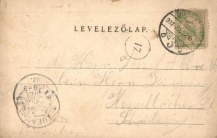 1902 Budakeszi, Máriamakk romtemplom (fl)