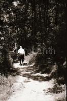 1965 Sopron és Fertőrákos, kb. 60 db negatív kocka csíkokban, 3,5×4 cm