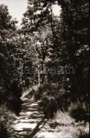 1965 Sopron és Fertőrákos, kb. 60 db negatív kocka csíkokban, 3,5×4 cm