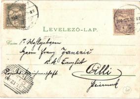 1900 Gyula, Megyeháza, Gr. Almásy kastély, népkerti pavilon, Közművelődési Múzeum, Vágóhíd, Erkel Fe...