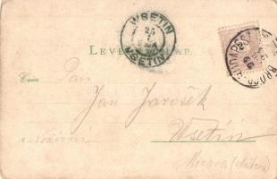 1899 Pécs, Király utca, Székesegyház, Takarékpénztár, Széchenyi tér. Kiadja Blancz József. Druck v. ...