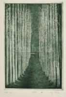 Olvashatatlan jelzéssel: Erdő. Rézkarc, papír, jelzett, 22×16 cm
