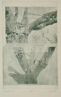 Olvashatatlan jelzéssel: Sárospatak. Rézkarc, papír, jelzett, 29×19 cm