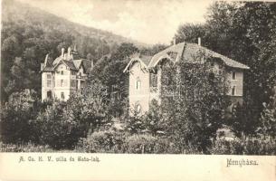 Menyháza, Moneasa; A Cs.E.V. (Arad-Csanádi Egyesült Vasutak) Villa és Sata-lak / villas