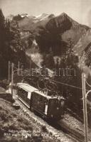 Schynige Platte Bahn, Blick gegen Sulegg / mountain, train
