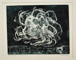 Sulyok Gabriella (1939-):Rovar-bolygó. Rézkarc, papír, jelzett, 29×35 cm