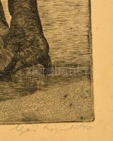 Nyári Lóránt (1928-1982): Tatai tó. Rézkarc, papír, jelzett, keretben, 29×39 cm