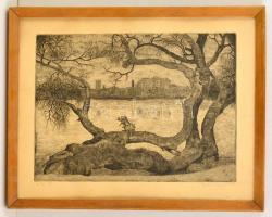 Nyári Lóránt (1928-1982): Tatai tó. Rézkarc, papír, jelzett, keretben, 29×39 cm