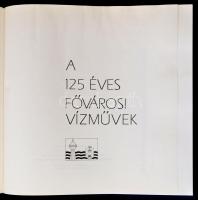 A 100 éves Fővárosi Vízművek. Bp., 1967, Mezőgazdasági Könyvkiadó Vállalat. Első kiadás. Szövegközti...