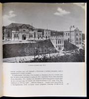 A 100 éves Fővárosi Vízművek. Bp., 1967, Mezőgazdasági Könyvkiadó Vállalat. Első kiadás. Szövegközti...