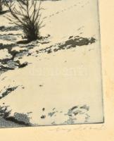 Nagy Zoltán (1916-1987): Kisinóc. Rézkarc, papír-karton, jelzett, keretben, 18,5×31 cm