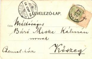 1904 Haraszt puszta (Rum), Széchenyi kastély. Kiadja Th. Meyer. Levél Báró Miske Kálmán ősrégésznek ...