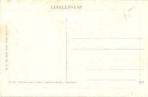 Nagybánya, Baia Mare; látkép a Református templommal. W. L. Bp. 6040. Kiadja Krizsanovszky Lőrinc / ...