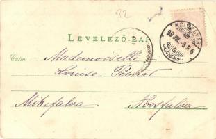 1899 Kolozsvár, Cluj; Hajdani magyar kapu bástyája / gate, bastion  (EK)