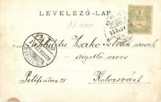 1903 Brád, Dreikönigstollen / Tárna bejárata bányászokkal és csilléket vontató lóval, iparvasút / mi...