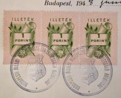 1947-1950 Niederhauser Emil (1923-2010) történész iskolai iratai: középiskolai tanárvizsgálati értes...