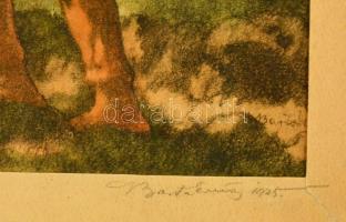 Barta Ernő (1878-1956): Szántó fiú. Színes litográfia, papír, jelzett, üvegezett keretben, 29×23 cm