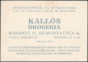 1935 Kallós Drogéria reklámlapja, a hátoldalon Magyar Drogista Testület részére írt behozatali engedély ügyben, Kallós Andor saját kezű írásával, és aláírásával, pecséttel.