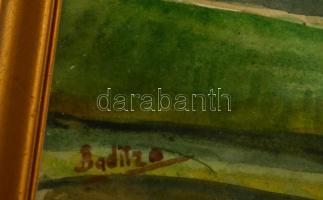 Baditz jelzéssel: Park részlet. Akvarell, papír, üvegezett keretben, 21×31 cm