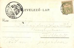 1905 Siófok, Hajóállomás, gőzhajó. Kiadja Reich Farkas (szakadás / tear)