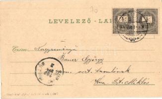 1900 Gyula, Megyeháza, Göndöcs népkerti pavilon, Római katolikus templom, Gróf Wenckheim kastély, Óv...