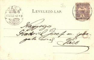 1900 Kiskunfélegyháza, Félegyháza; Szélmalom. Kiadja Feuer Illés