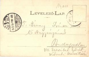 1901 Alsókubin, Dolny Kubín; Uradalmi szálloda, Pénzügyi Igazgatósági épület, Posta hivatal. Kiadja ...