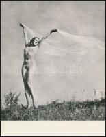 Fátoltánc, aktfotó, Karel Hajek felvétele, hátoldalán feliratoza16x12,5 cm