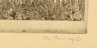 Rékassy Csaba (1937-1989): Győr. Rézkarc, papír, jelzett, üvegezett keretben, 39×24 cm