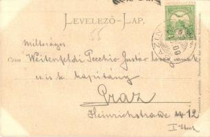 1900 Nagyszombat, Tyrnau, Trnava; Ferenc József tér, Nagy Lajos utca, Szentháromság szobor, üzletek,...