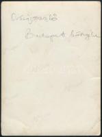 cca 1930 Országzászló Budapest környékén, fotó, hátulján feliratozva, 12×9 cm