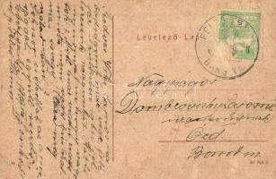 Zsarnóca, Zarnovica; Erdőtanácsosi lak. W. L. 357. (?) / forester's house (fa)