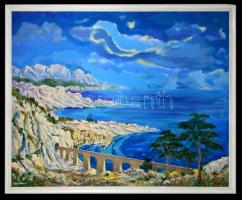 Gödi Vass István (1941-): Côte Bleue. Olaj, vászon, jelzett, keretben, 80×100 cm