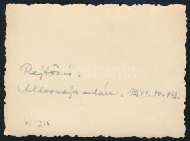 1941 Rejtőzés, magyar Toldi harckocsik rejtőzés közben, fotó, 6x8 cm