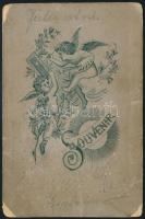 cca 1900 Cigányasszony fotója, Victoria portrait műterméből, kartonra kasírozva, 10x7 cm