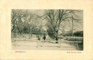 Zsombolya, Hatzfeld, Jimbolia; Deák Ferenc fasor, templom. W. L. Bp. 6649. / street view, church