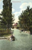 Szászváros, Broos, Orastie; patak és vízimalom / creek with watermill  (fa)