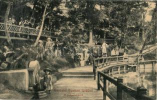 Vízakna, Salzburg, Ocna Sibiului; Gyógyforrások. W. L. (?) 1004. Kiadja Budovszky L. / spa, thermal spring (Rb)