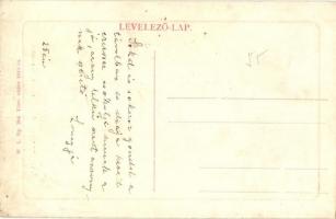 Vinga, Római katolikus templom. W. L. Bp. 204. / Catholic church (r)