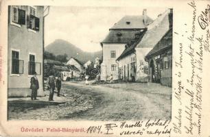 1904 Felsőbánya, Baia Sprie; utcakép, Sárody Sándor és Róth Mihály üzlete / street view with shops (EK)